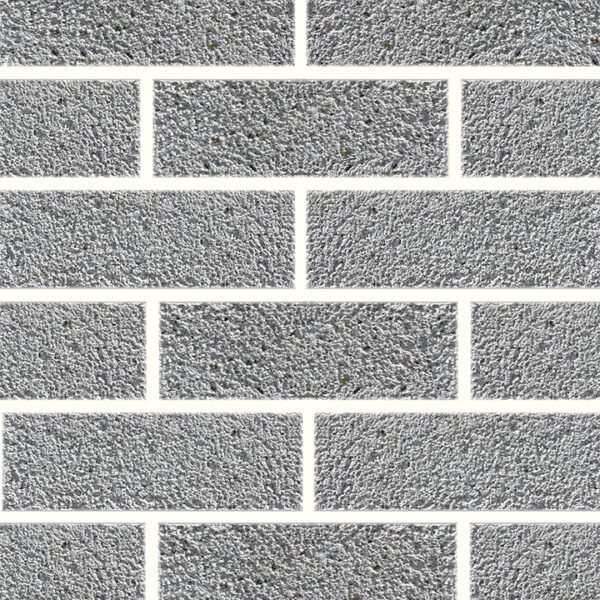 Bricks for the Future Exposed - Ash Eco